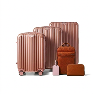 Horizon Secure Travel Bundle Rose Gold