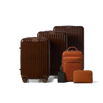Horizon Secure Travel Bundle Brown